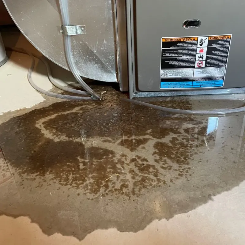 Pipe Burst and Leak Restoration in New Holstein, WI