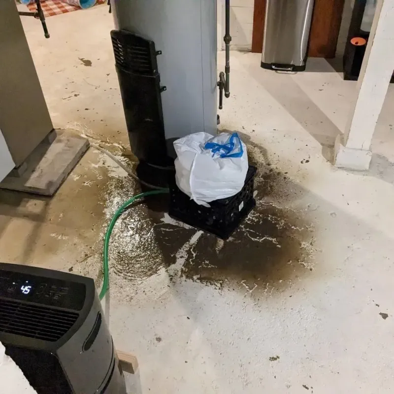 Sewage Backup Cleanup Service in New Holstein, WI